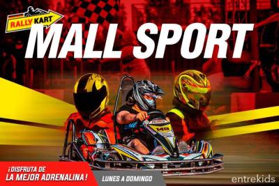 ¡Ven a correr en Rally Kart Mall Sport! - Familiares