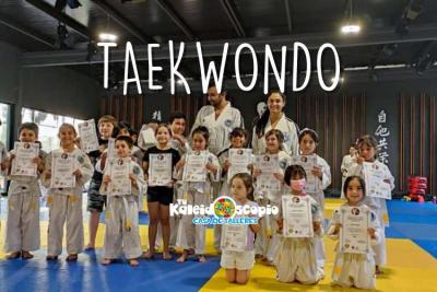 TALLER TAEKWONDO MINI 2026 - Talleres y clases