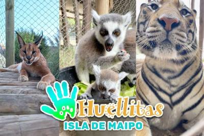 Tour Guiado Huellitas - Animales