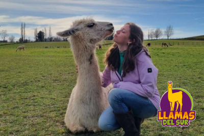 ¡Disfruta en la Granja Educativa Llamas del Sur! - Animales